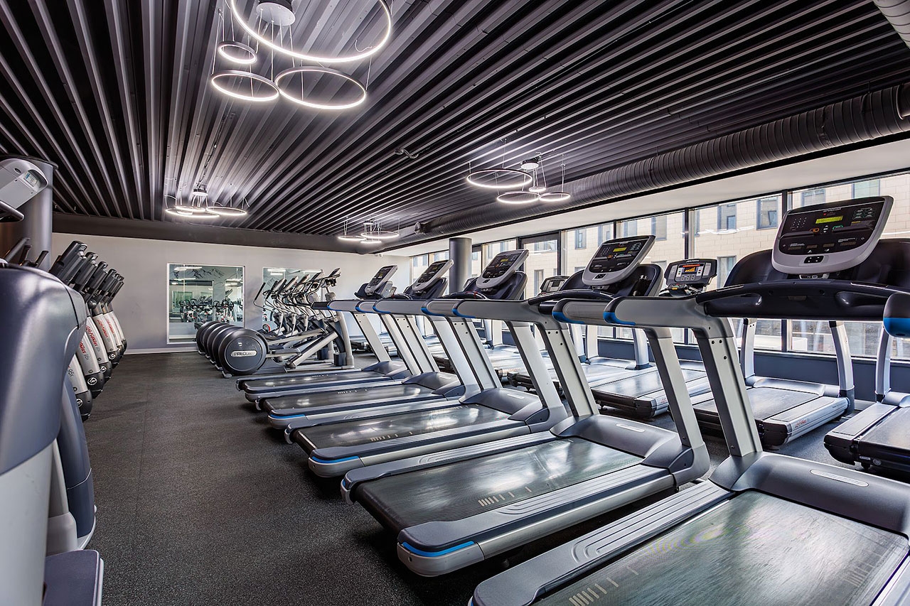 WeGym Синица