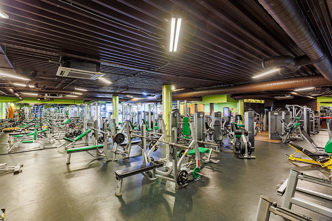 WeGym Синица