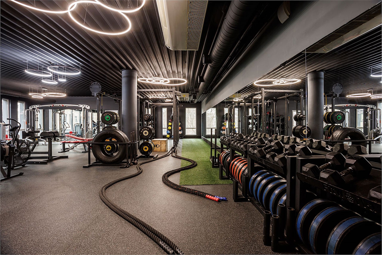 WeGym Синица