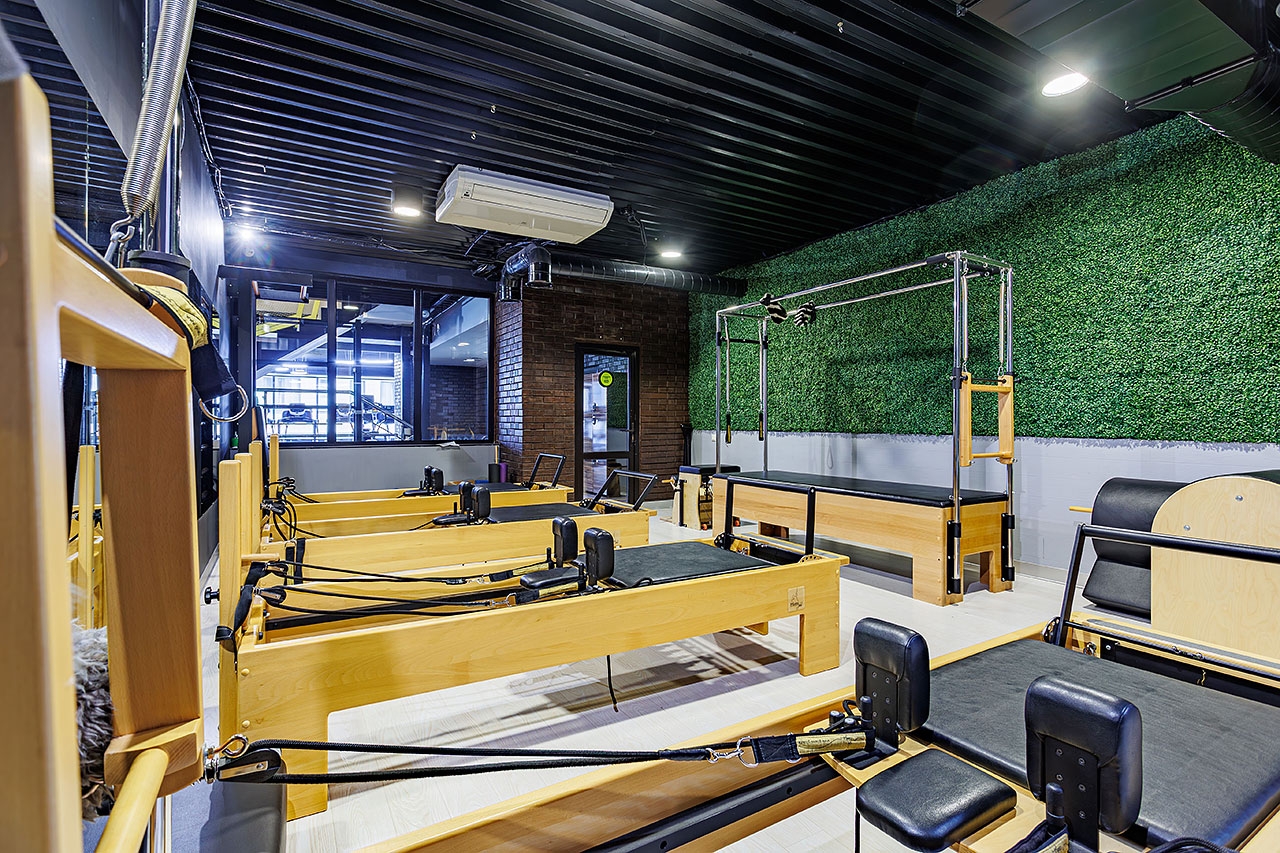 WeGym Синица
