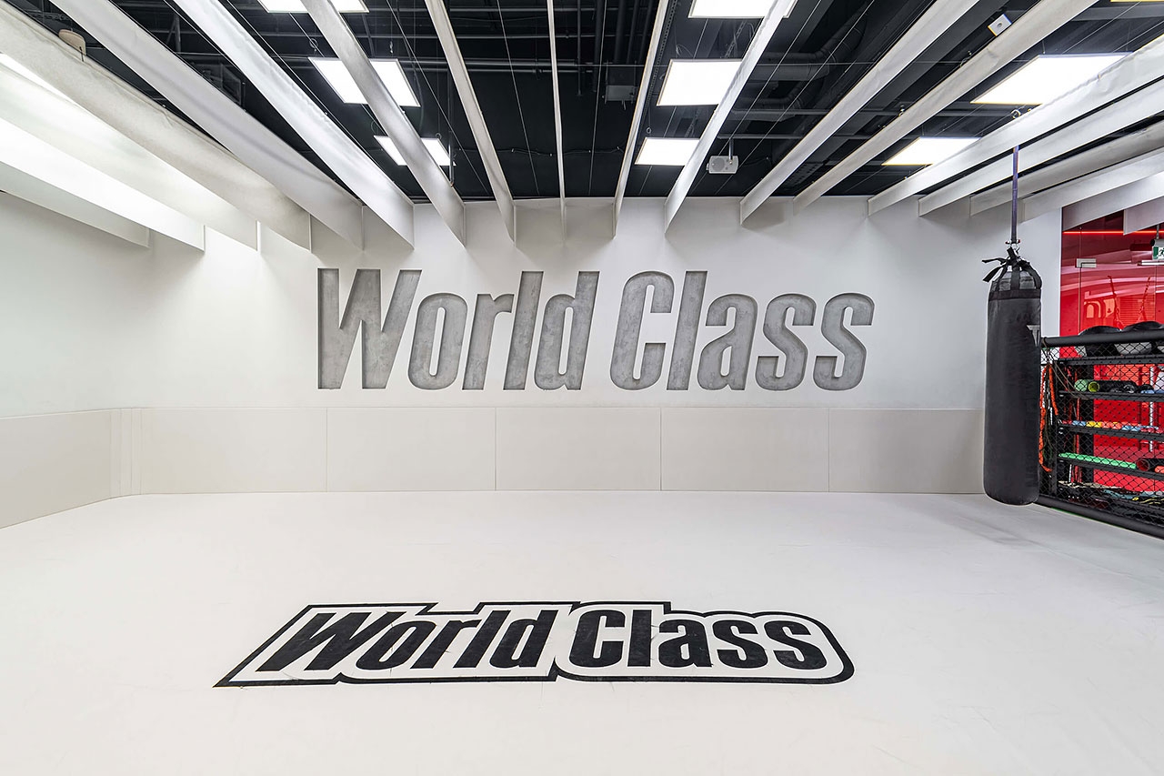 World Class Метрополис