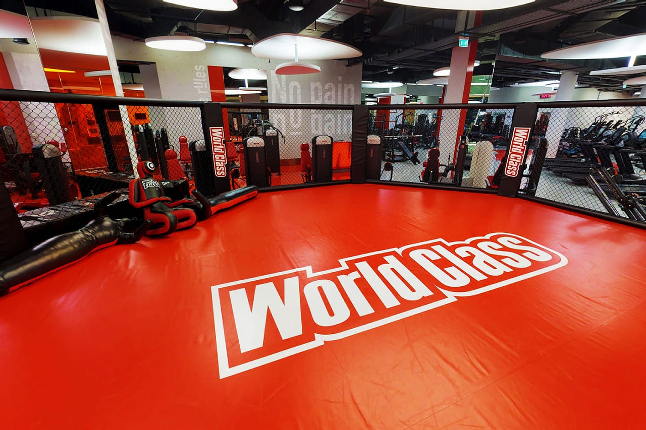 World Class Каширский