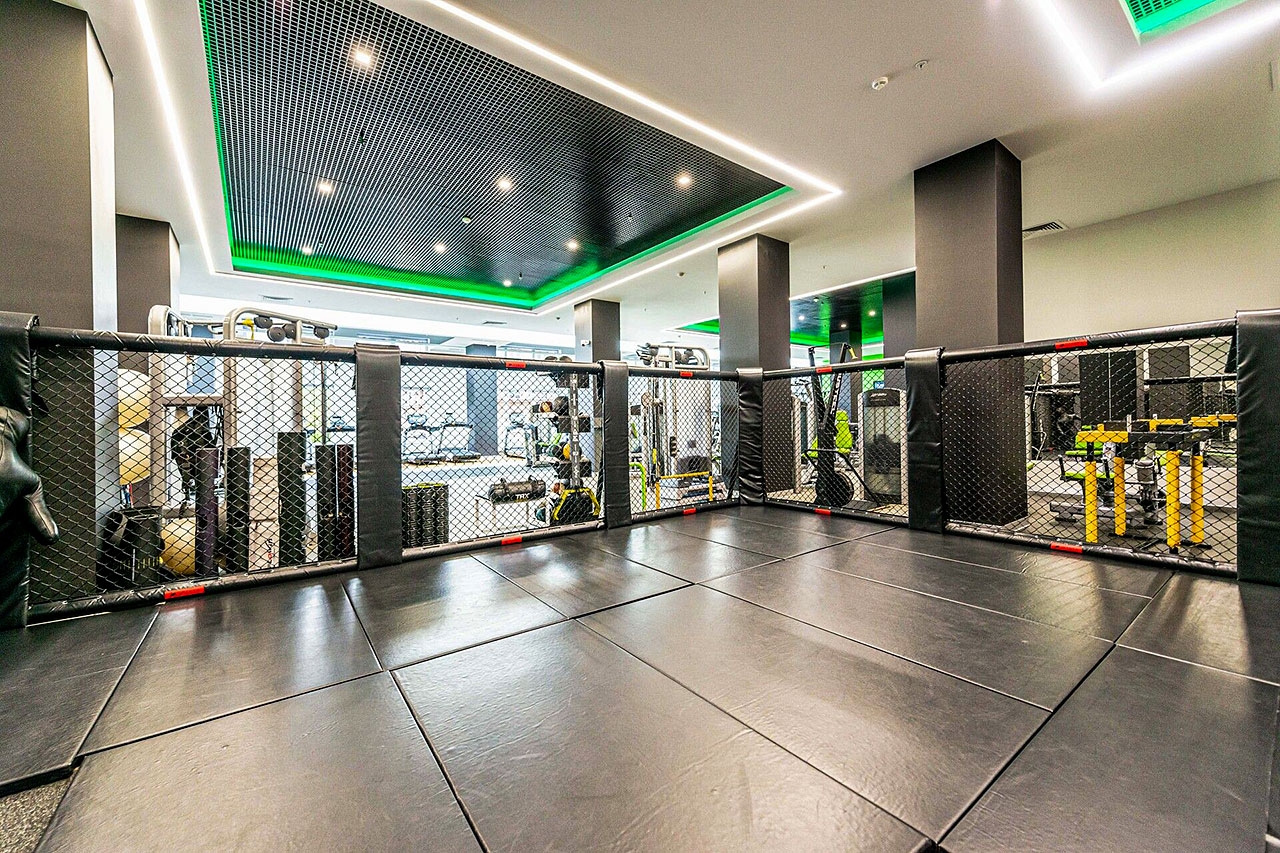 X-Fit Монарх Premium