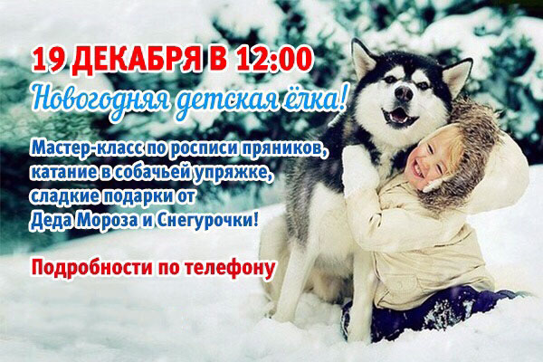 Новогодняя детская ёлка в фитнес-клубе «Зебра улица 1905 года»