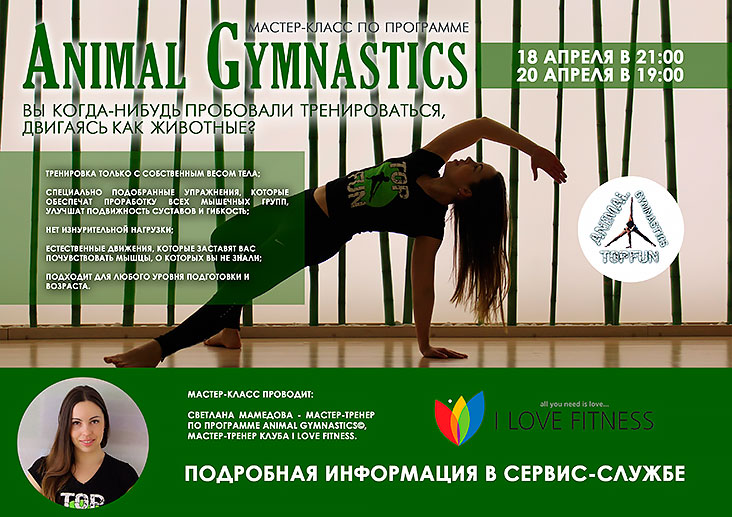 Мастер-класс Animal Gymnastics