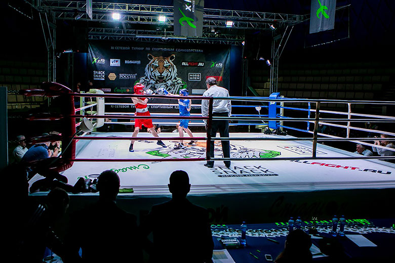 Открытый турнир по спортивным единоборствам X-Fight 2019 приглашает участников и гостей